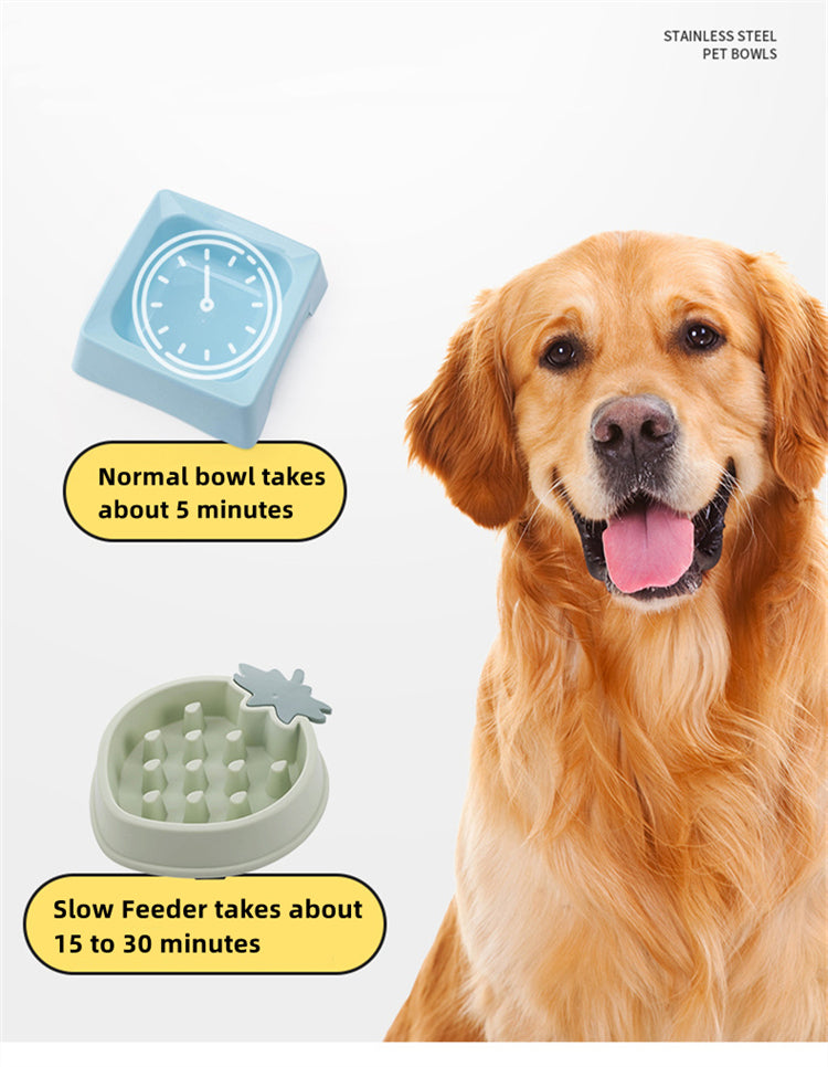 Pet Slow Bowl Pet Slow Bowl Pet Bowls, Feeders & Waterers Furvenzy
