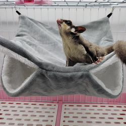 Hamster Hammock Hamster Hammock Pet Carrier & Crate Accessories Furvenzy Grey 20 x 20 CM