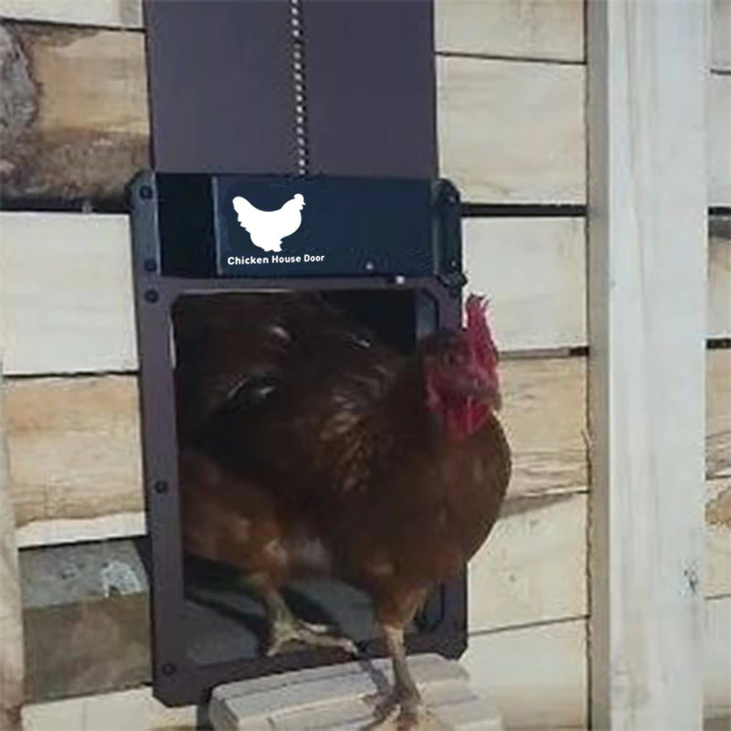 Automatic Chicken Coop Door with Light Sensing Automatic Chicken Coop Door with Light Sensing Furvenzy