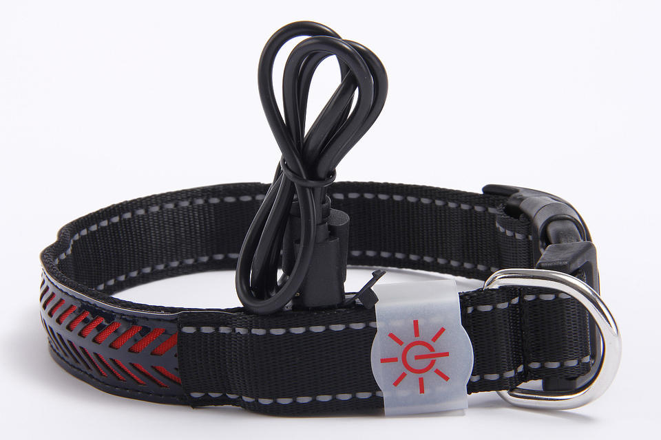 USB Charging Adjustable Led Pet Collars USB Charging Adjustable Led Pet Collars Pet Collars & Harnesses Furvenzy Black Small