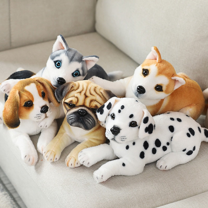 Realistic Dogs Plush Toys - Husky / Shiba Inu / Dalmatian / Pug / Migru Realistic Dogs Plush Toys - Husky / Shiba Inu / Dalmatian / Pug / Migru Furvenzy
