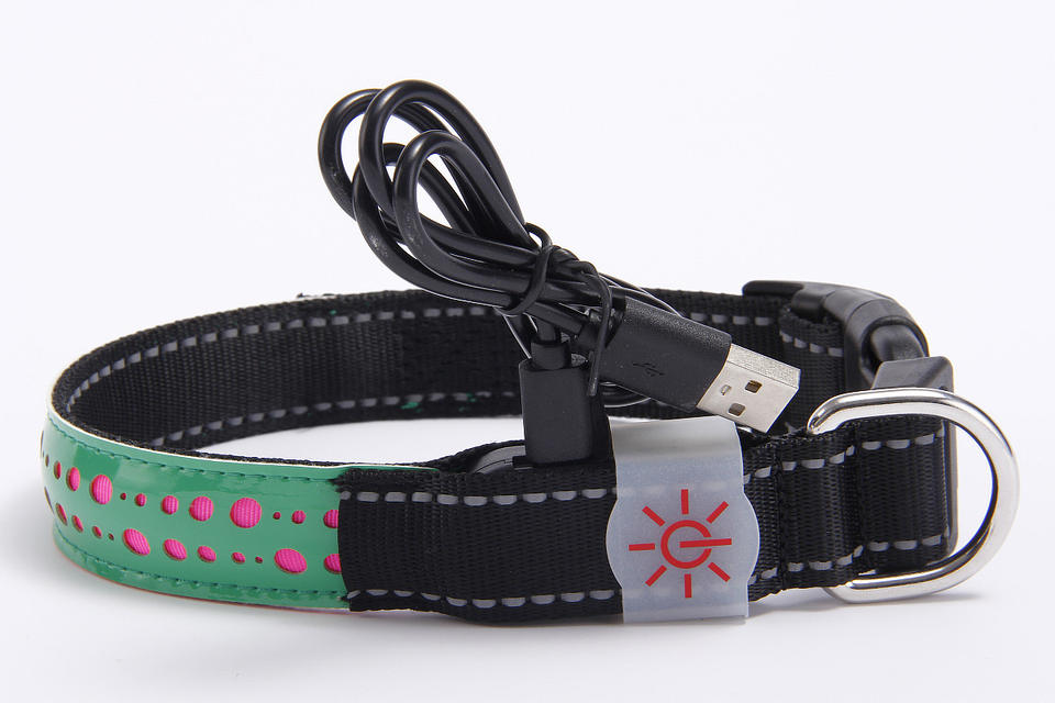 USB Charging Adjustable Led Pet Collars USB Charging Adjustable Led Pet Collars Pet Collars & Harnesses Furvenzy Green Small