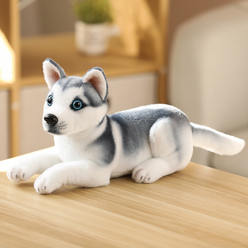 Realistic Dogs Plush Toys - Husky / Shiba Inu / Dalmatian / Pug / Migru Realistic Dogs Plush Toys - Husky / Shiba Inu / Dalmatian / Pug / Migru Furvenzy Husky