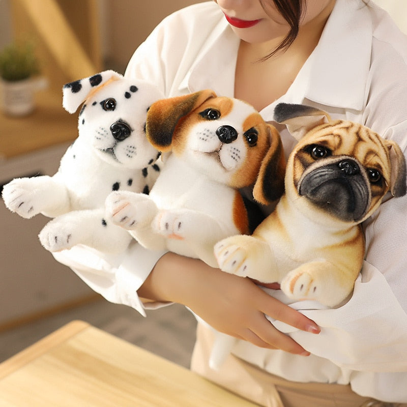 Realistic Dogs Plush Toys - Husky / Shiba Inu / Dalmatian / Pug / Migru Realistic Dogs Plush Toys - Husky / Shiba Inu / Dalmatian / Pug / Migru Furvenzy