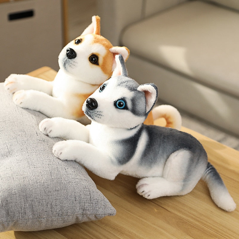 Realistic Dogs Plush Toys - Husky / Shiba Inu / Dalmatian / Pug / Migru Realistic Dogs Plush Toys - Husky / Shiba Inu / Dalmatian / Pug / Migru Furvenzy