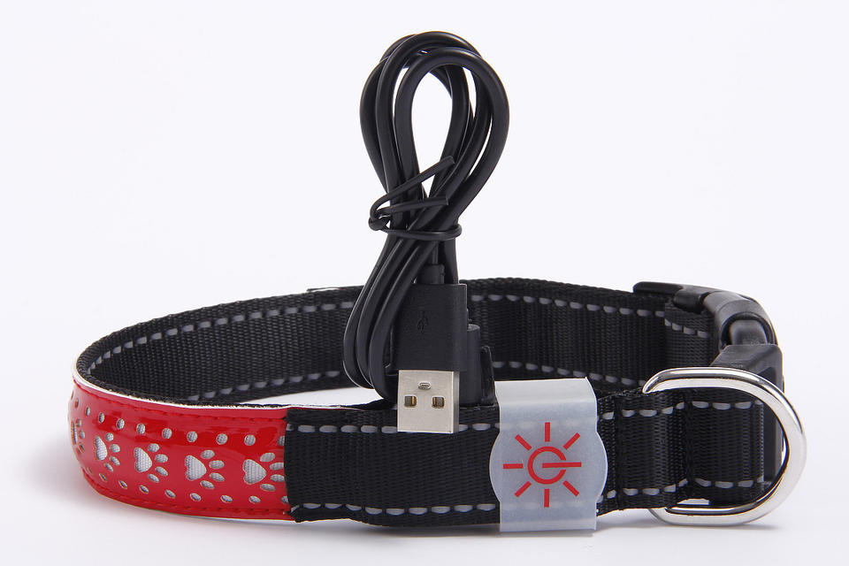 USB Charging Adjustable Led Pet Collars USB Charging Adjustable Led Pet Collars Pet Collars & Harnesses Furvenzy Red Small