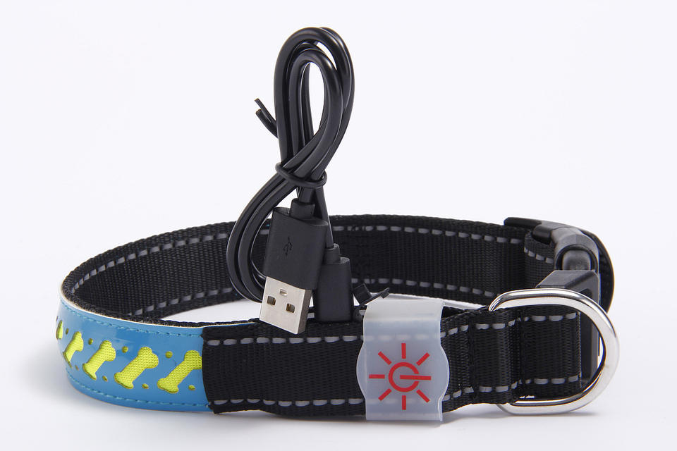 USB Charging Adjustable Led Pet Collars USB Charging Adjustable Led Pet Collars Pet Collars & Harnesses Furvenzy Blue Small