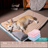 DOG BED WITH PADDED CUSHION 2