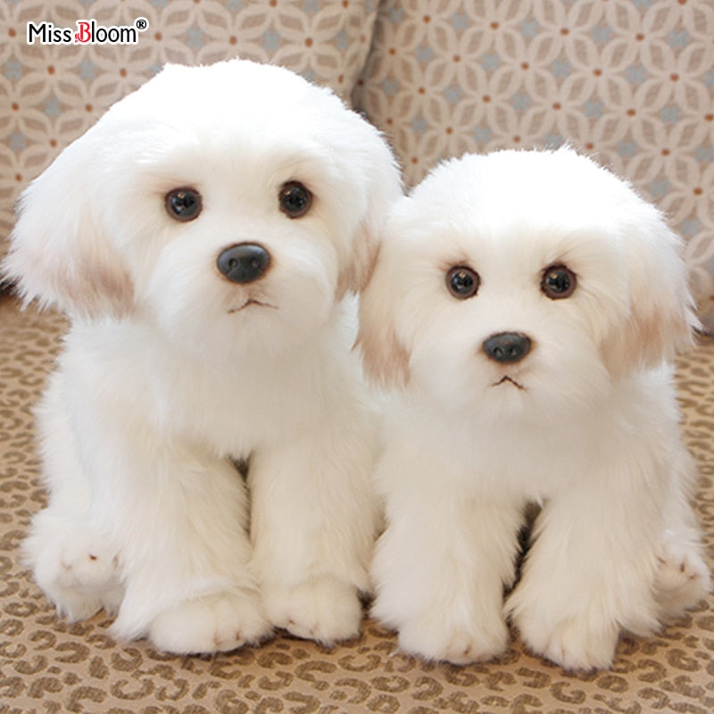 Realistic Maltese Dog Plush Stuffed Toy Realistic Maltese Dog Plush Stuffed Toy Furvenzy M size (1piece)