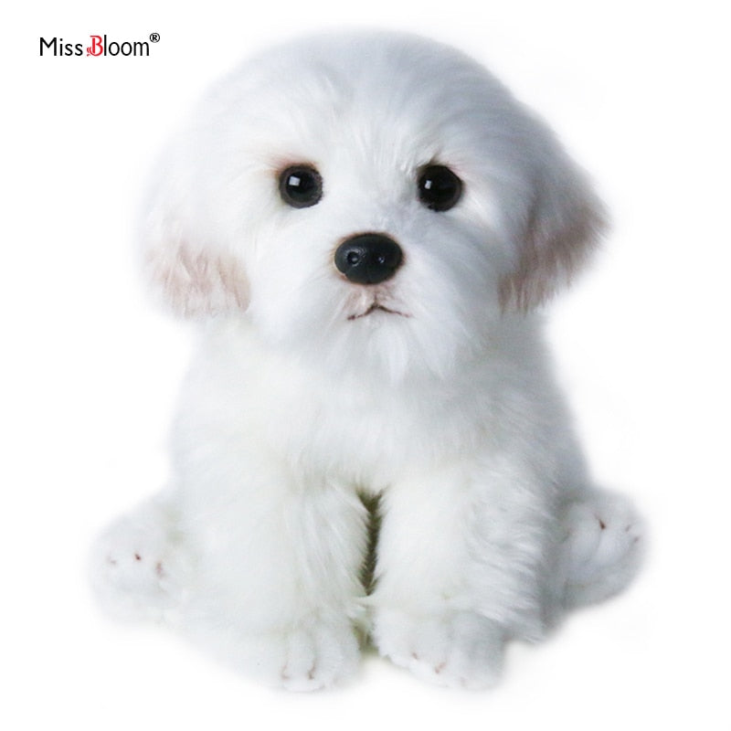 Realistic Maltese Dog Plush Stuffed Toy Realistic Maltese Dog Plush Stuffed Toy Furvenzy