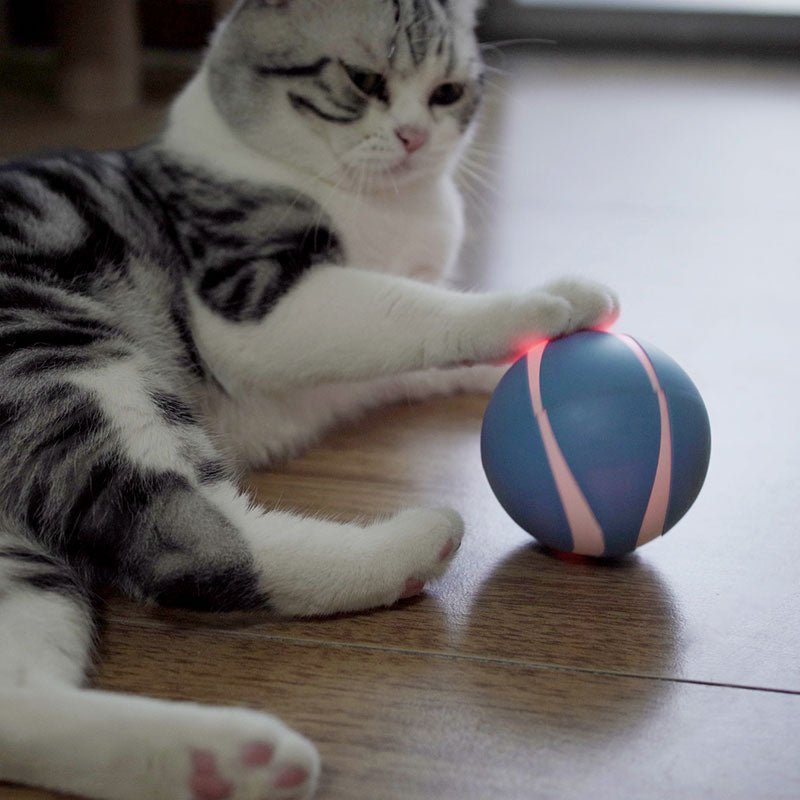 Busy Ball Dog Toy Smart & Interactive Busy Ball Dog Toy Smart & Interactive Furvenzy