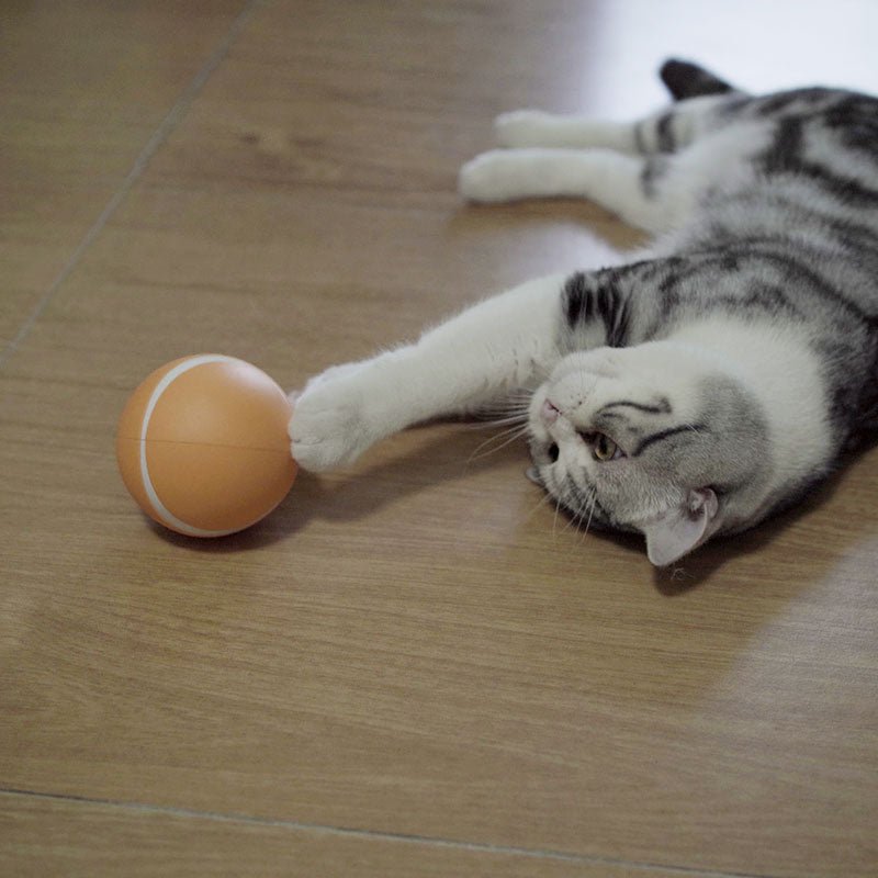 Busy Ball Dog Toy Smart & Interactive Busy Ball Dog Toy Smart & Interactive Furvenzy