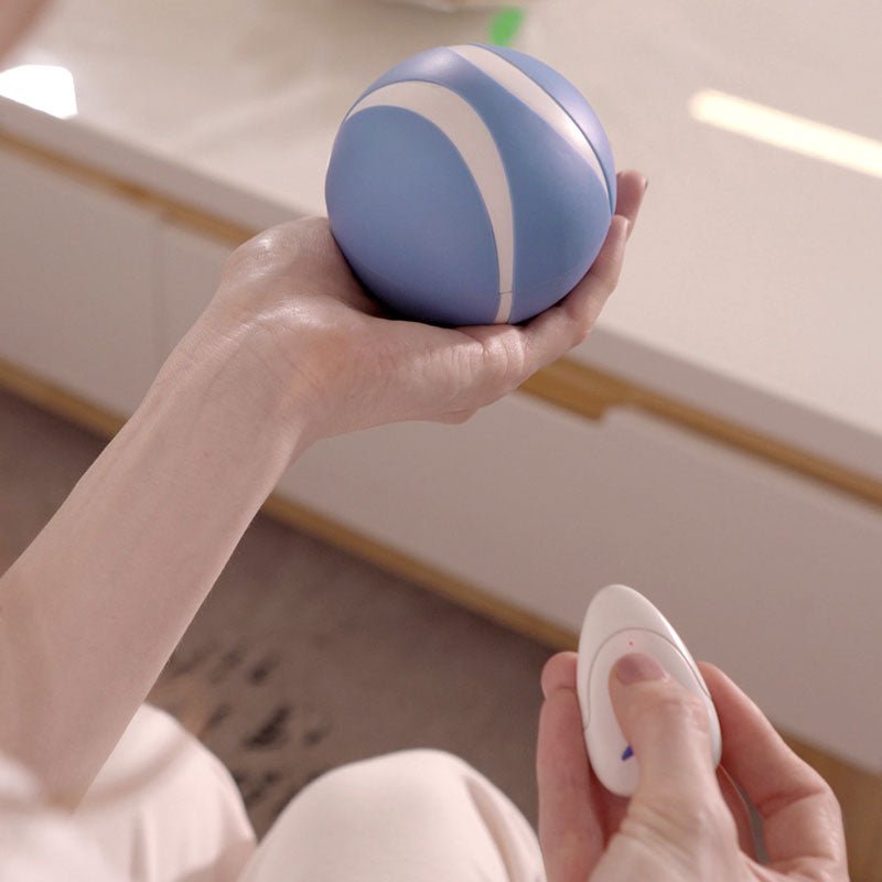 Busy Ball Dog Toy Smart & Interactive Busy Ball Dog Toy Smart & Interactive Furvenzy