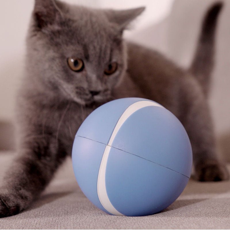 Busy Ball Dog Toy Smart & Interactive Busy Ball Dog Toy Smart & Interactive Furvenzy