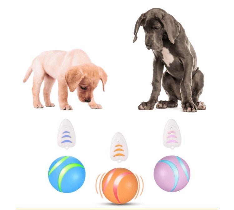 Busy Ball Dog Toy Smart & Interactive Busy Ball Dog Toy Smart & Interactive Furvenzy