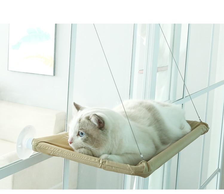 Cute Cat Hammock Hanging Beds Cute Cat Hammock Hanging Beds Furvenzy