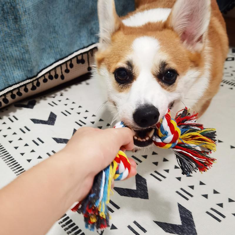 Dog Bite Rope Toy Dog Bite Rope Toy Furvenzy