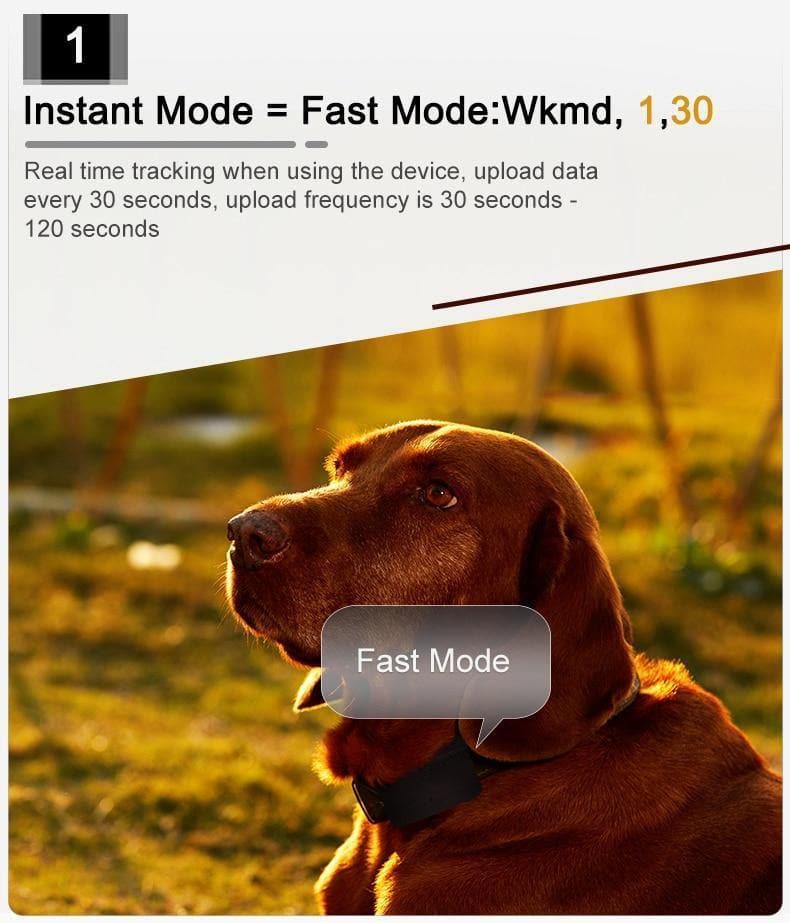 GPS Dog Collar GPS Dog Collar Furvenzy