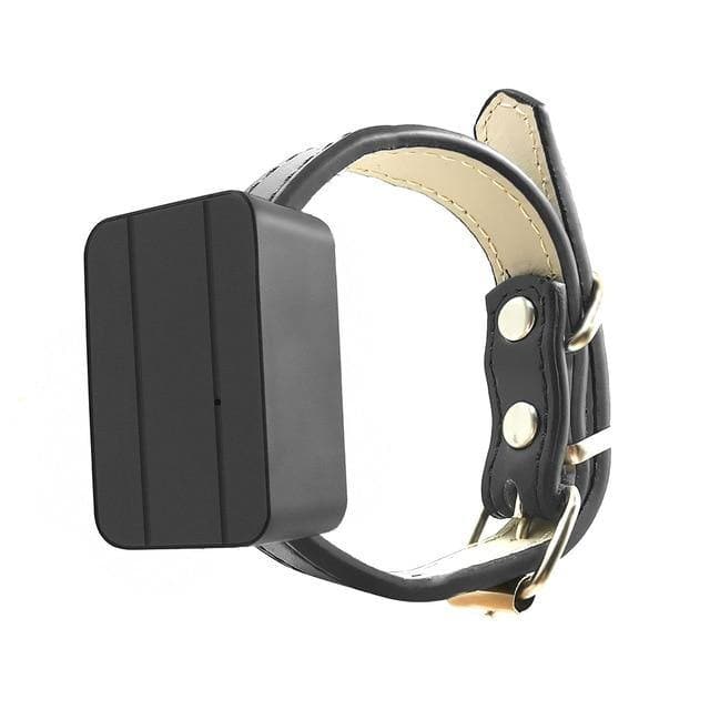 GPS Dog Collar GPS Dog Collar Furvenzy Default Title