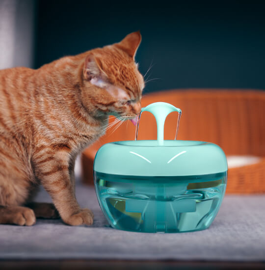 Cat Water Fountain Cat Water Fountain Furvenzy Green