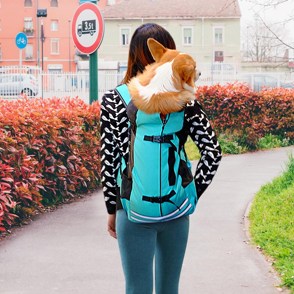 Pet Carrier for Bike Pet Carrier for Bike Furvenzy