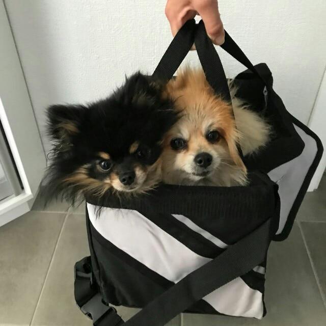 Pet Bike & Bicycle Basket Carrier Pet Bike & Bicycle Basket Carrier Furvenzy