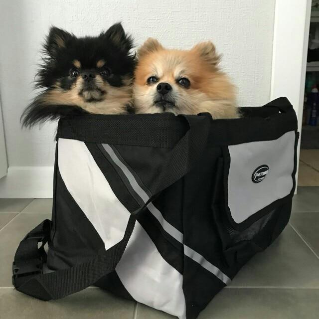 Pet Bike & Bicycle Basket Carrier Pet Bike & Bicycle Basket Carrier Furvenzy