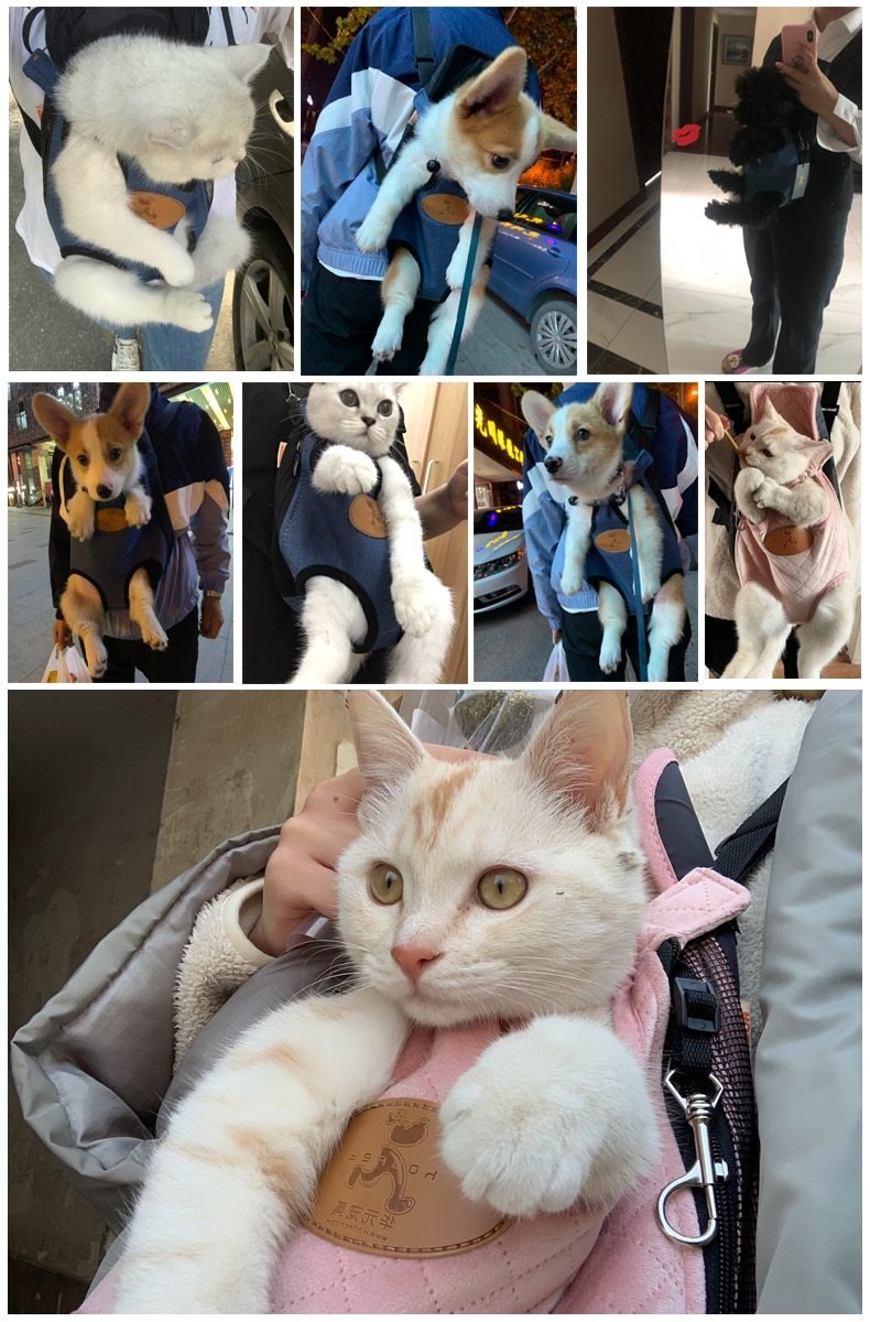Pet Cat Carrier Fashion Travel Bag Pet Cat Carrier Fashion Travel Bag Furvenzy
