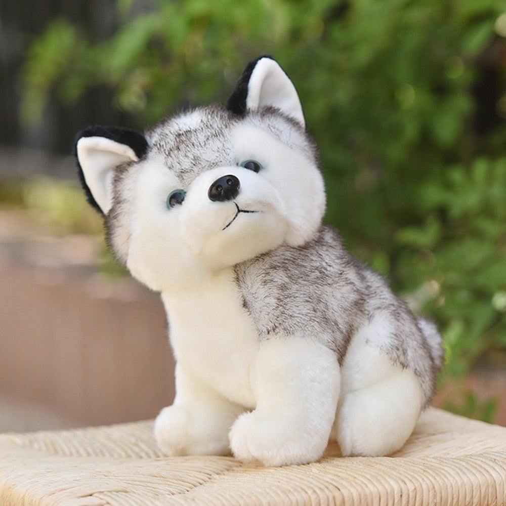 Realistic Husky Dog Plush Stuffed Toy Realistic Husky Dog Plush Stuffed Toy Furvenzy