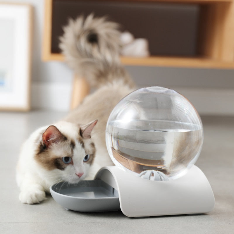 Cat Gravity Waterer Bowl Dispenser Cat Gravity Waterer Bowl Dispenser Furvenzy