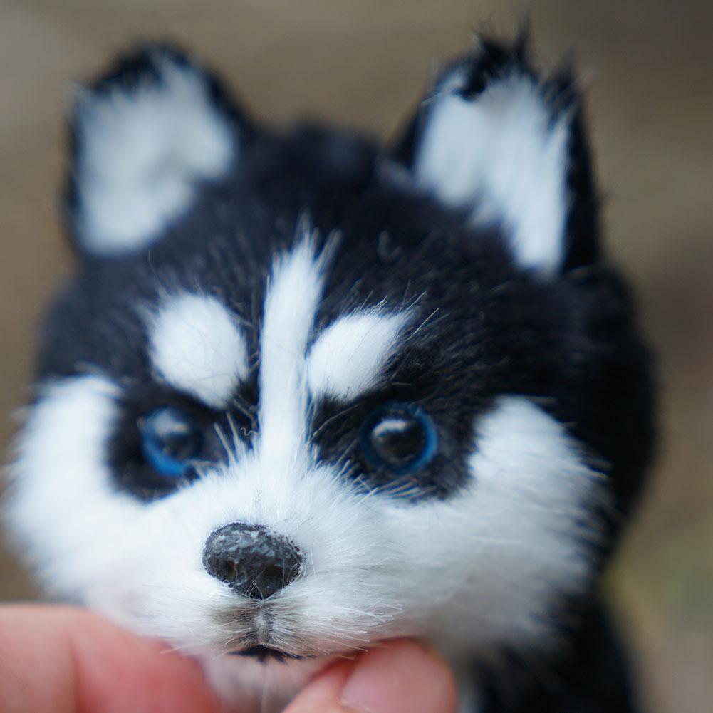 Realistic White Siberian Husky Dog Plush Stuffed Toy Realistic White Siberian Husky Dog Plush Stuffed Toy Furvenzy