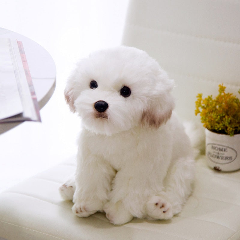 Realistic Animal Plush Stuffed Toy - Corgi / Pomeranian Realistic Animal Plush Stuffed Toy - Corgi / Pomeranian Furvenzy Pomeranian 28 Cm