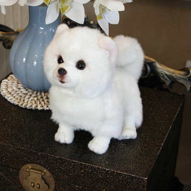 Realistic Animal Plush Stuffed Toy - Corgi / Pomeranian Realistic Animal Plush Stuffed Toy - Corgi / Pomeranian Furvenzy