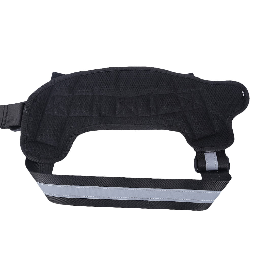 No Pull Dog Harness - Personalized Name Patch No Pull Dog Harness - Personalized Name Patch Furvenzy