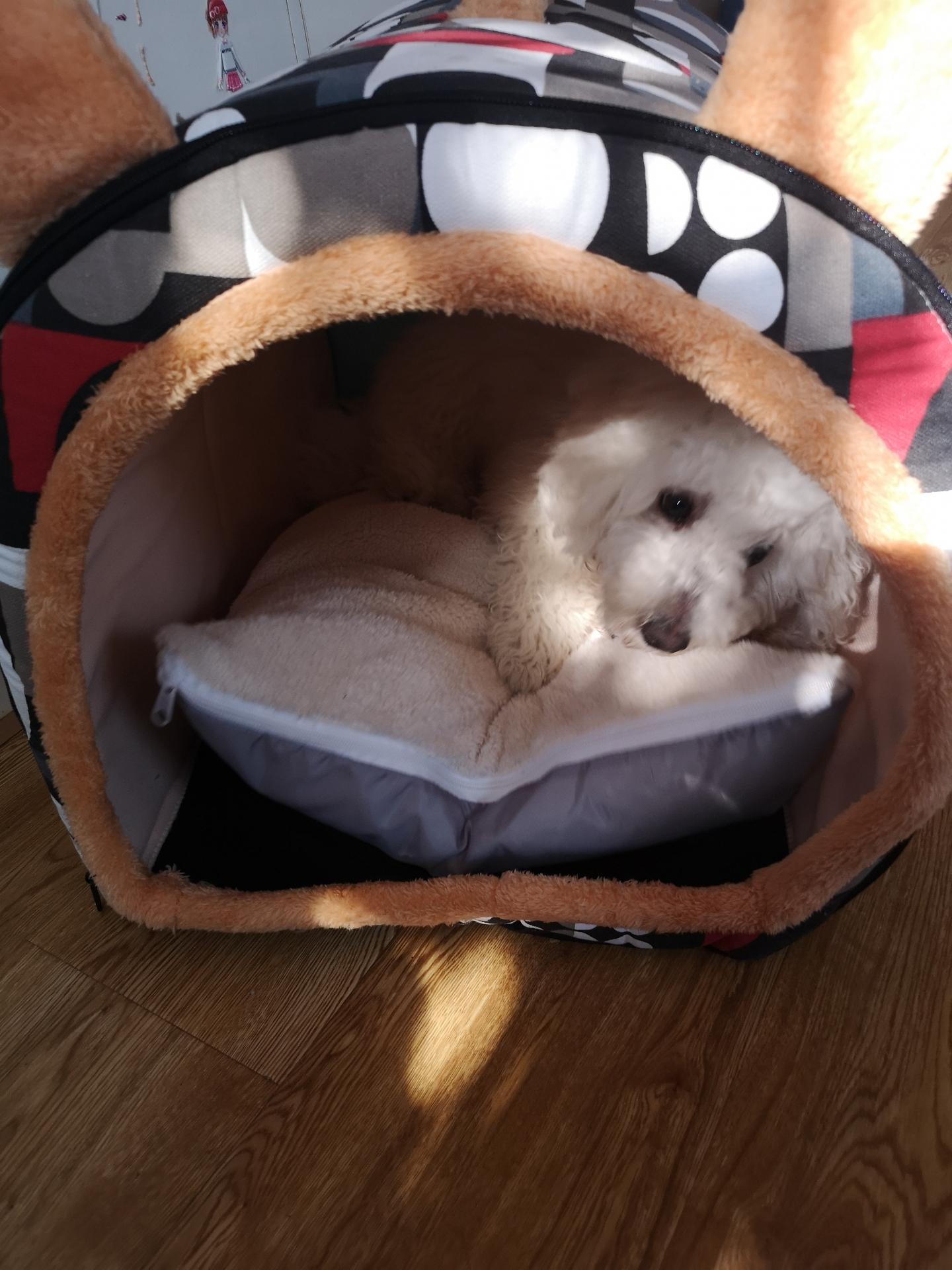 Foldable Dog Bed Pet House Sofa Nest Foldable Dog Bed Pet House Sofa Nest Furvenzy