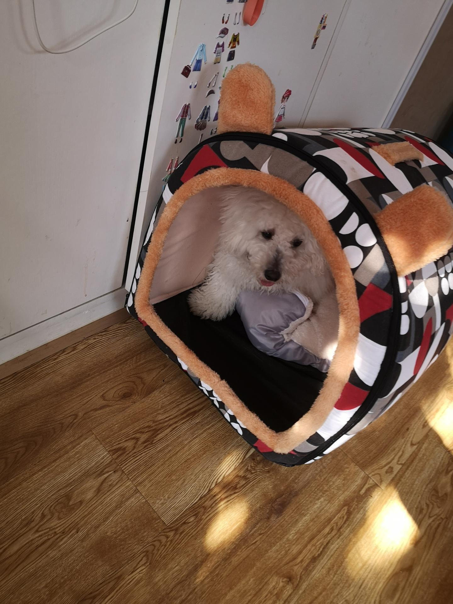 Foldable Dog Bed Pet House Sofa Nest Foldable Dog Bed Pet House Sofa Nest Furvenzy