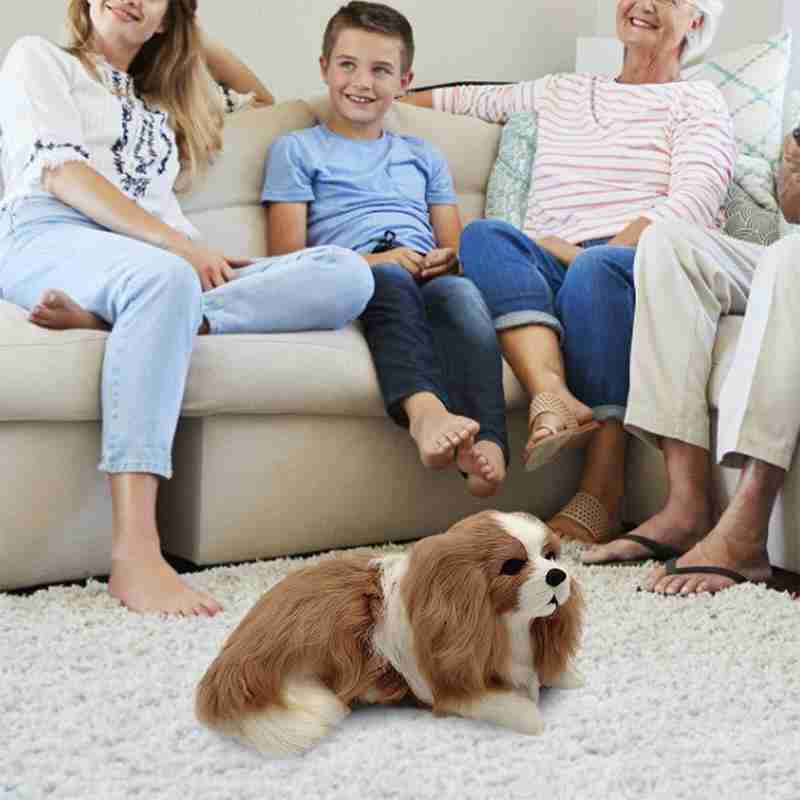 Realistic Dog Plush Toy - Charlie Dog Poodle Realistic Dog Plush Toy - Charlie Dog Poodle Furvenzy