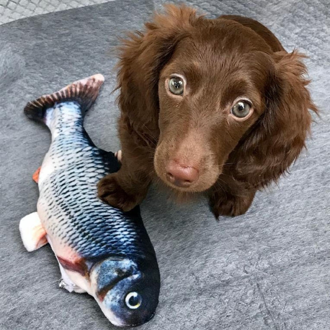 Floppy Fish Dog Toy Floppy Fish Dog Toy Furvenzy