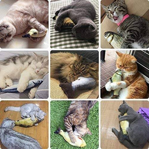 Floppy Fish Dog Toy Floppy Fish Dog Toy Furvenzy