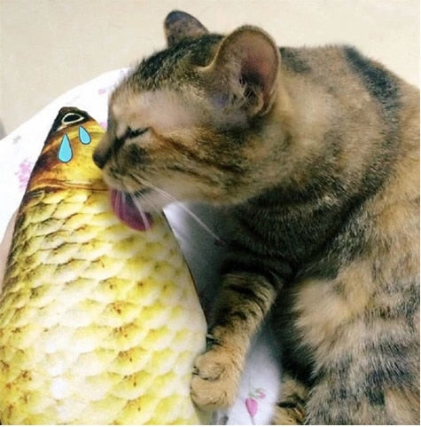 Floppy Fish Dog Toy Floppy Fish Dog Toy Furvenzy