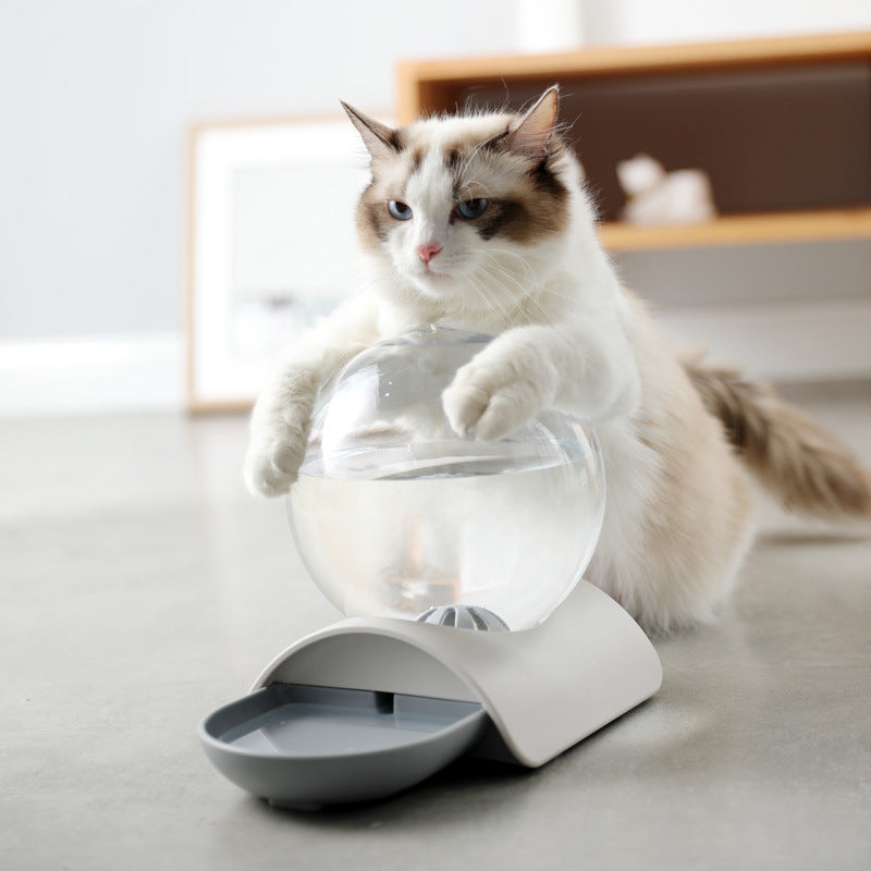 Cat Gravity Waterer Bowl Dispenser Cat Gravity Waterer Bowl Dispenser Furvenzy