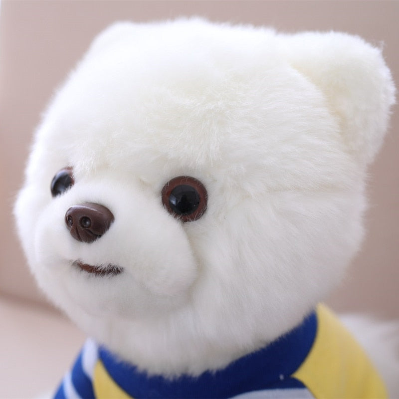 Pom Toy - Realistic Pomeranian Dog Plush Toy Pom Toy - Realistic Pomeranian Dog Plush Toy Furvenzy