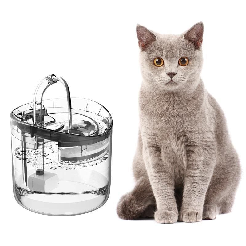 Cat Water Fountain - Transparent Cat Water Fountain - Transparent Furvenzy Fountain