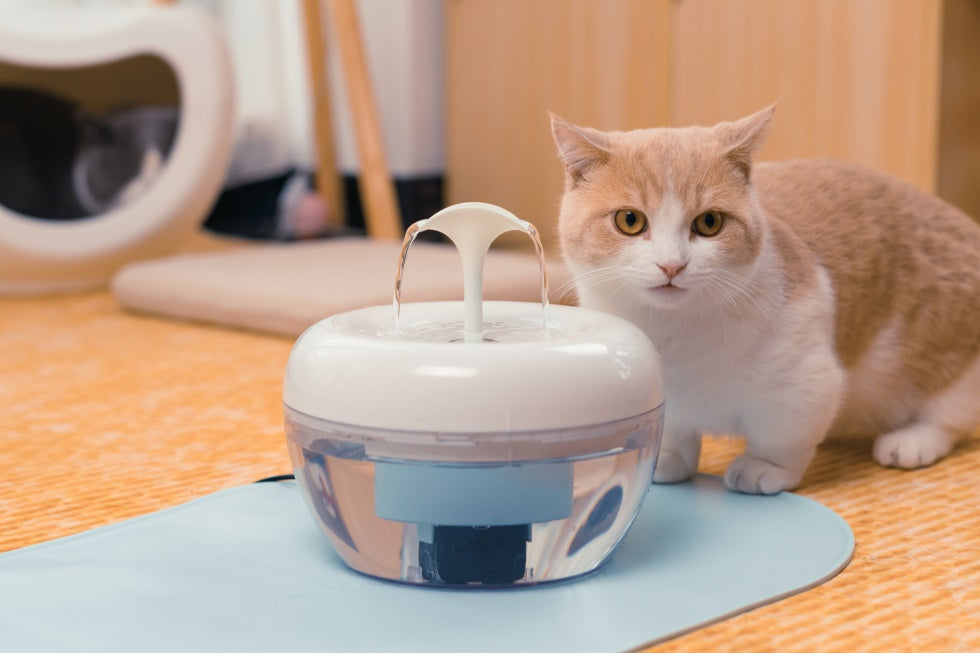 Cat Water Fountain Cat Water Fountain Furvenzy White