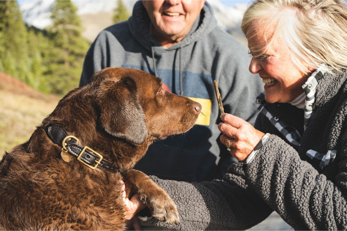 14 Things That Are Perfectly Normal for Labradors
