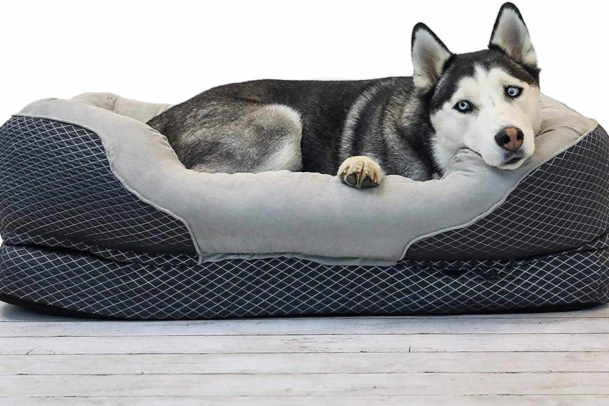 How to Wash Your Dog's Bed? | Furvenzy