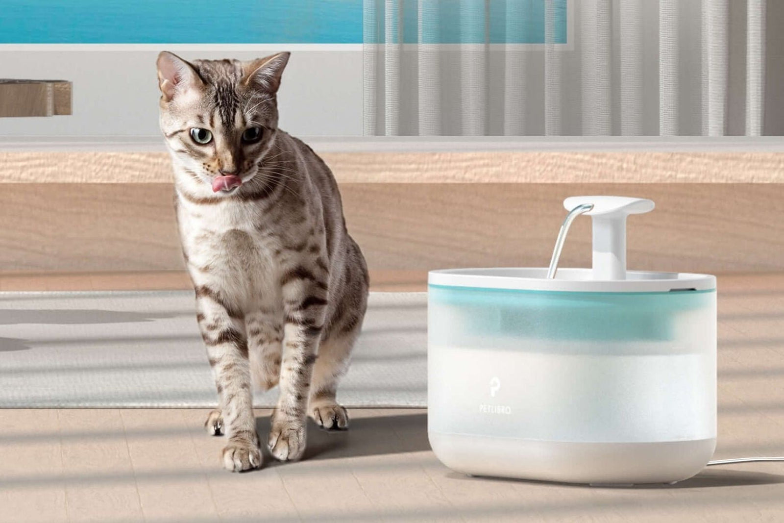 Why Is My Cat's Water Fountain Not Working? - Furvenzy