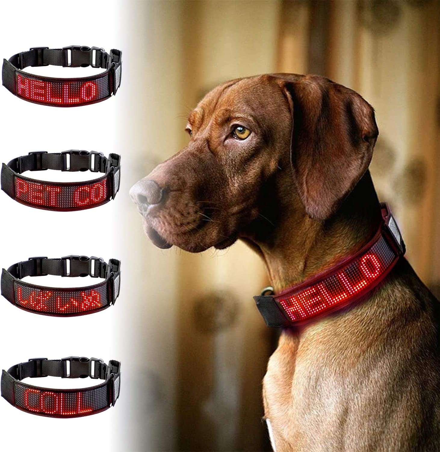 Bluetooth Flashing Pet Dog LED Collars