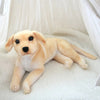 Realistic Labrador Dog Simulation Toy - Furvenzy