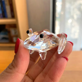 Clear crystal frog figurine held in a hand with a blurred indoor background